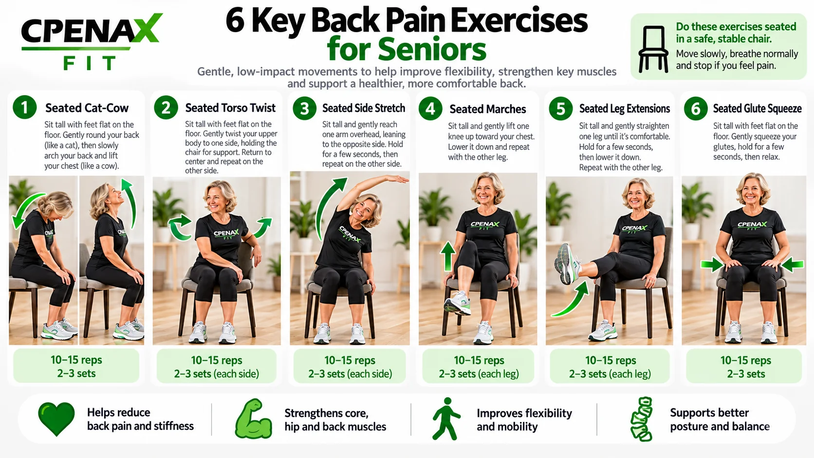 CPENAX FIT infographic showing six key seated back pain exercises for seniors.